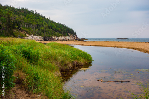 Tall grasses, wetlands, marshes, pine trees, sandy beaches, all seen hiking with Cadillac mountain in the background