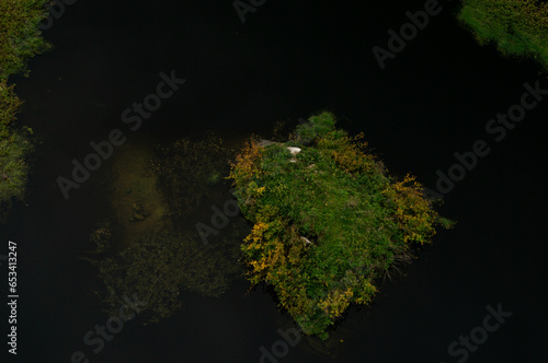 Obraz na płótnie top view on the green island in river w salonie