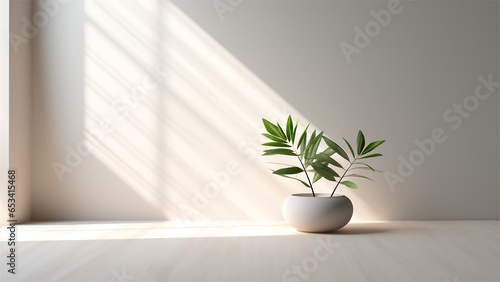 Jarron planta - Fondo color blanco - Sombras difusas - Ventana lateral - materiales blanco, jarron photo