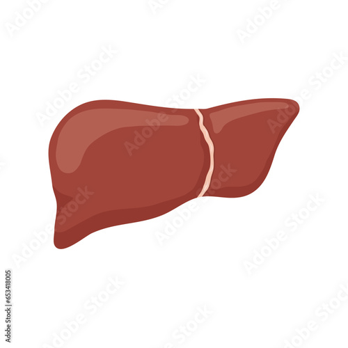 Human liver flat vector illustration