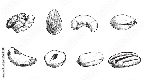 Different nuts set. Sketch style hand drawn seeds. Walnut, pistachio, cashew, almond, peanut, hazelnut, Brazil nut and pecan. Vector illustrations. Organic food.