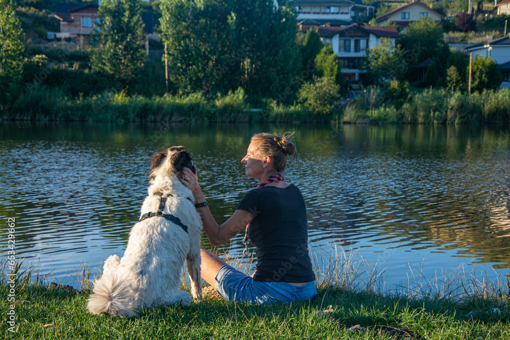 summer lakeside with a dog summer lakeside with a dog