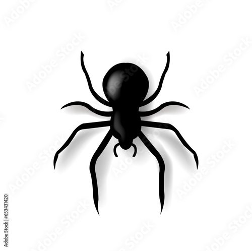 spider on white background