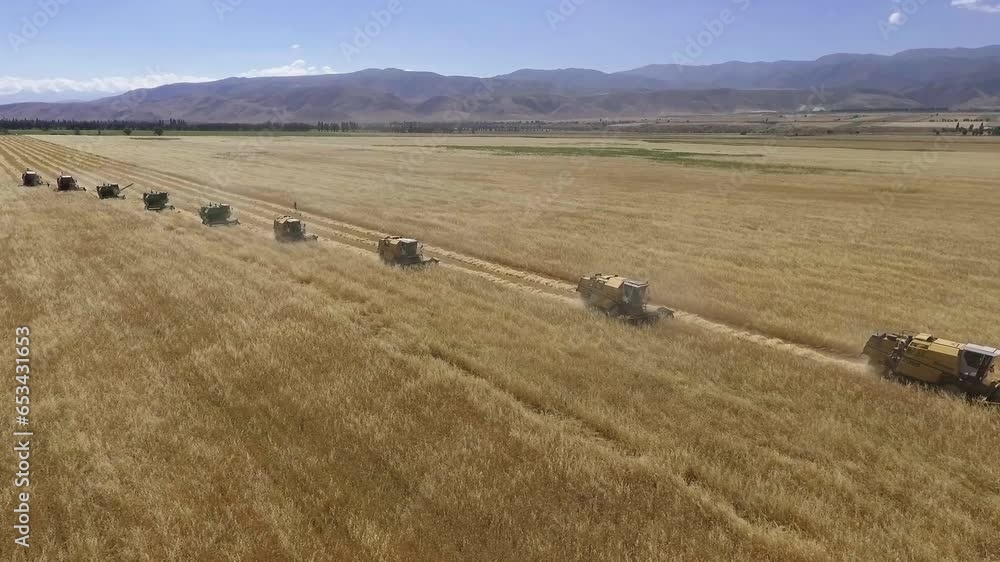 combines mowing wheat lined up in a row combines mowing wheat lined up in a row