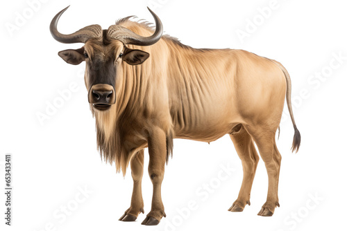 Transparent PNG of a Wildebeest. Transparent Background PNG. Isolated PNG. Generative AI