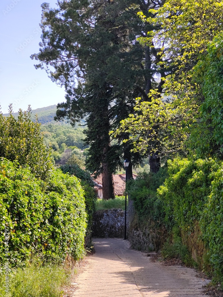 Street of a town