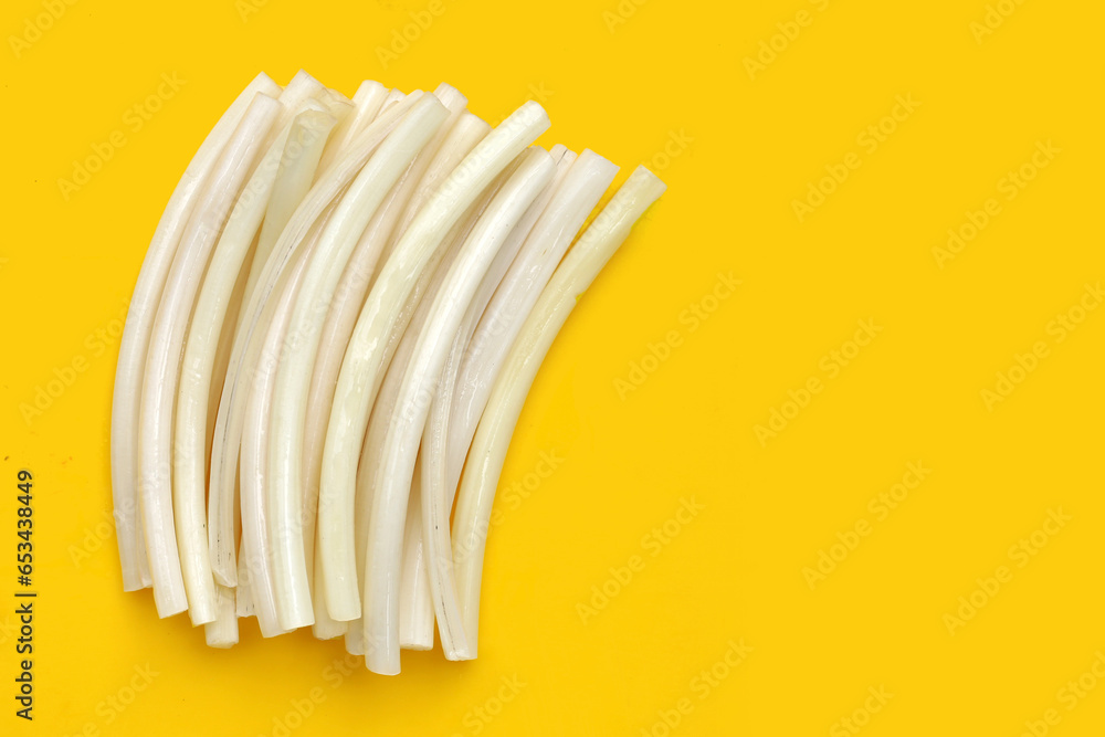 Fresh lotus rootlet on yellow background. Fresh lotus rootlet on yellow background.