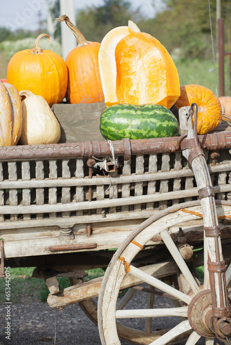 colorful and orange pumpkins for Halloween