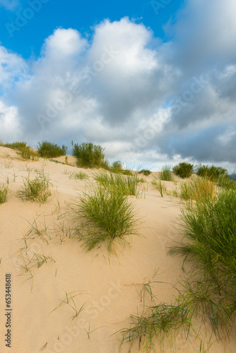 Valdevaqueros dune in Tarifa, Cadiz, Spain © marcin jucha