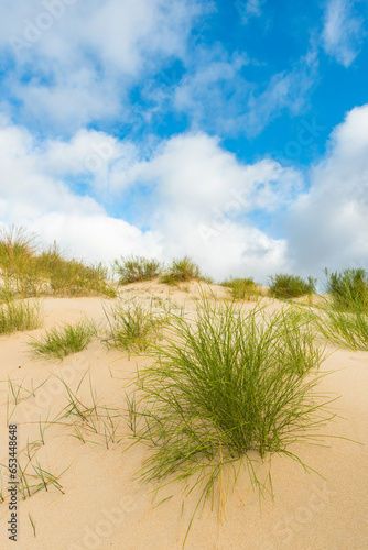 Valdevaqueros dune in Tarifa, Cadiz, Spain