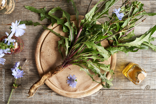 Quadro su tela Fresh wild chicory or succory plant with root