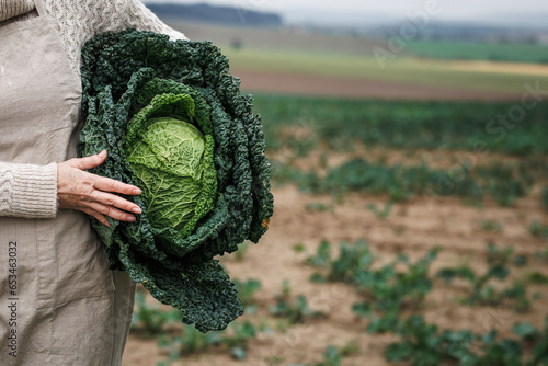 Fotografia, Obraz Farmer holding big kale cabbage at agricultural field