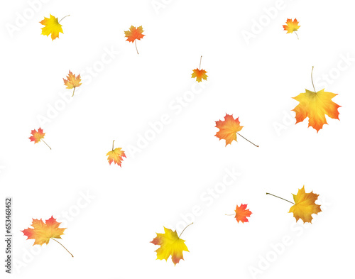 Beautiful autumn maple leaves swirling in the wind. © writerfantast