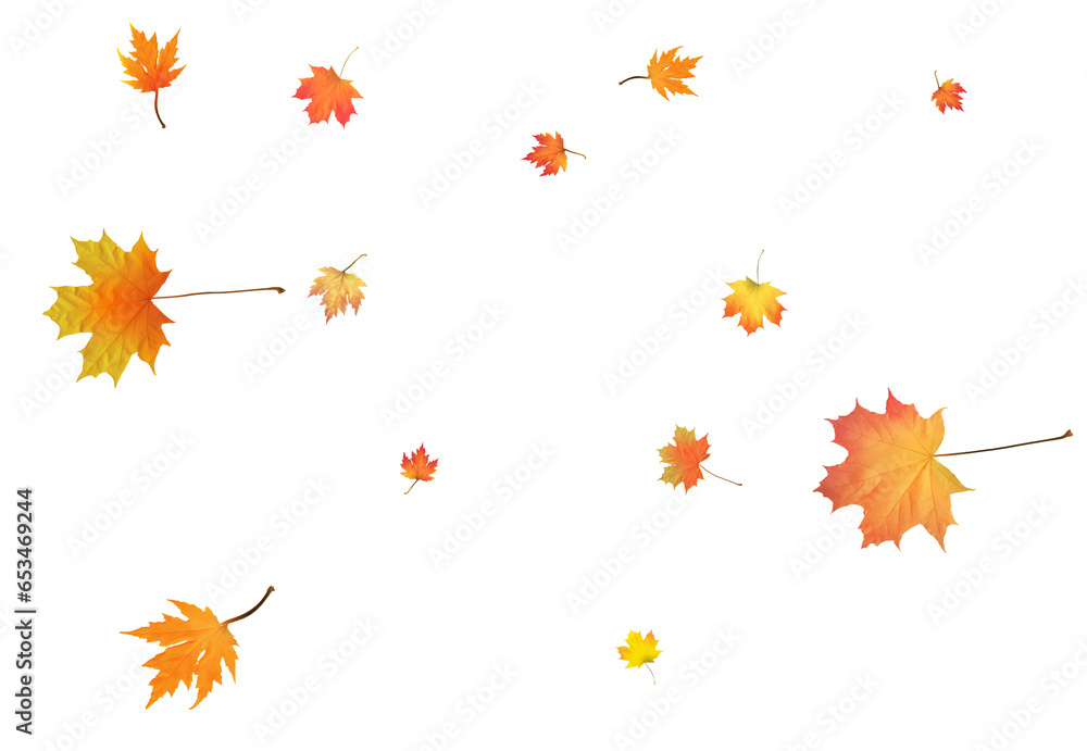 Autumn bright maple leaves background.