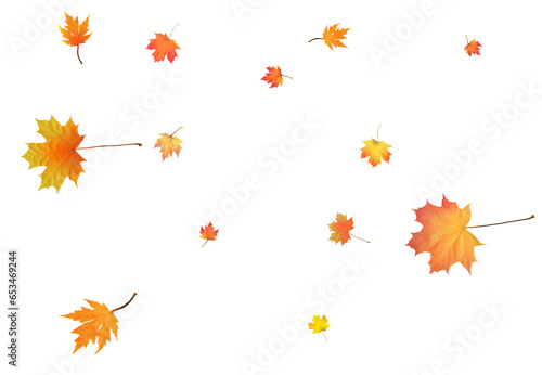 Autumn bright maple leaves background.