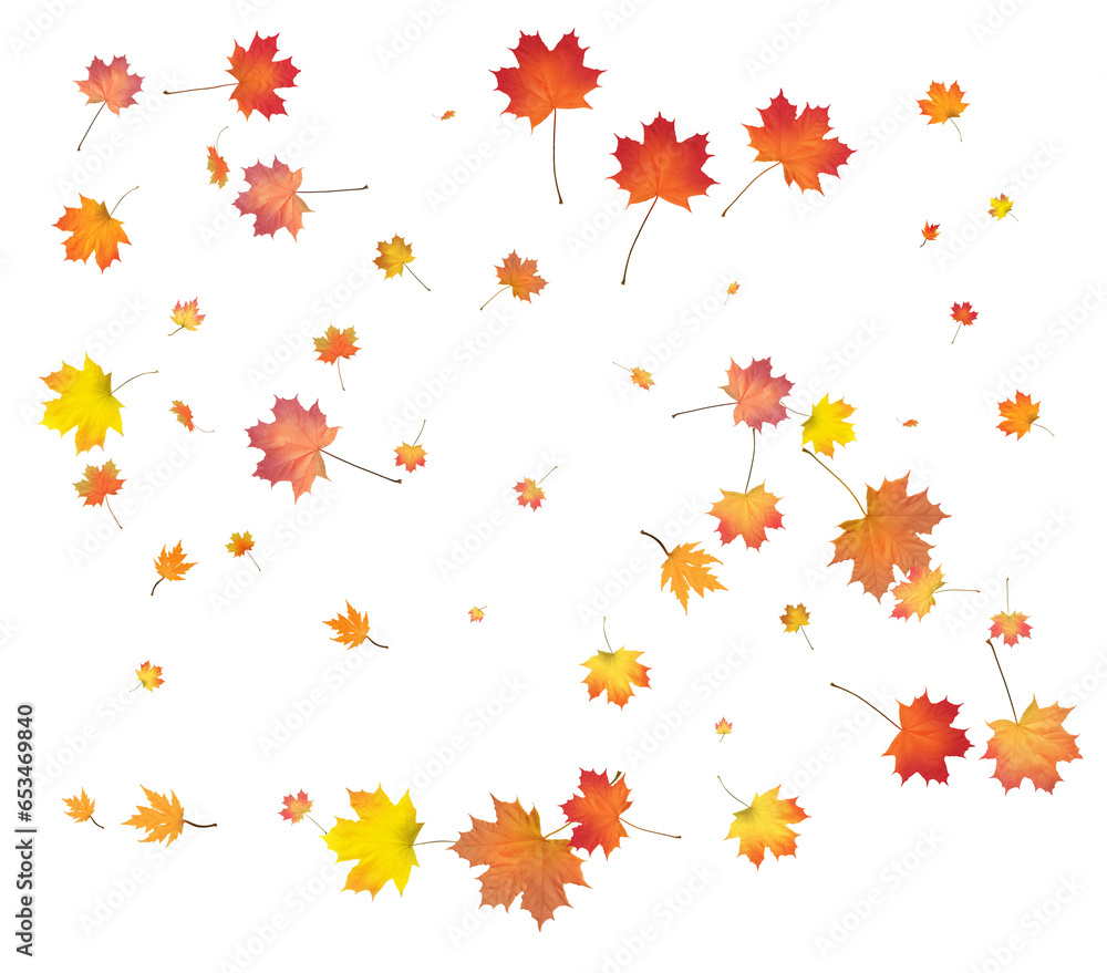 Gold Autumn background. golden maple leaves.