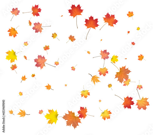 Wallpaper Mural Gold Autumn background. golden maple leaves. Torontodigital.ca