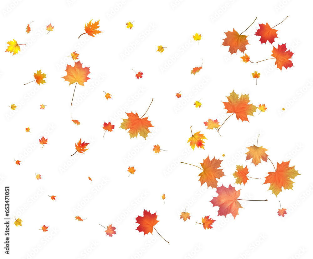 Red, orange, brown and yellow autumn leaves. Red, orange, brown and yellow autumn leaves.