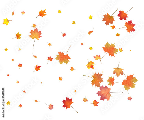 Wallpaper Mural Red, orange, brown and yellow autumn leaves. Torontodigital.ca