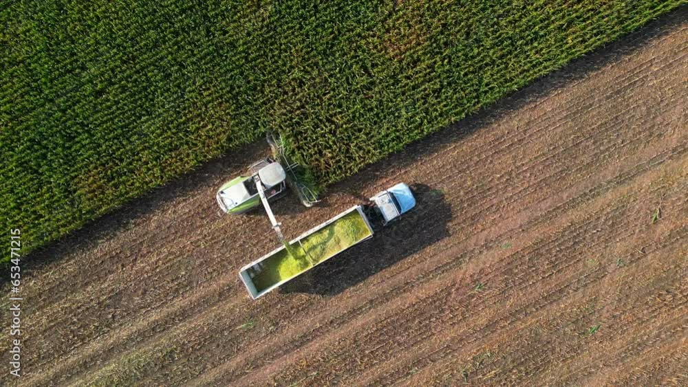 Farm combine machine and semi truck harvesting corn. Teamwork, modern efficiency, common sense methodology. Aerial view. Farm combine machine and semi truck harvesting corn. Teamwork, modern efficiency, common sense methodology. Aerial view.
