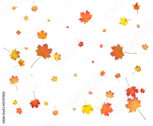 Wallpaper Mural Falling golden autumn maple leaves. Torontodigital.ca