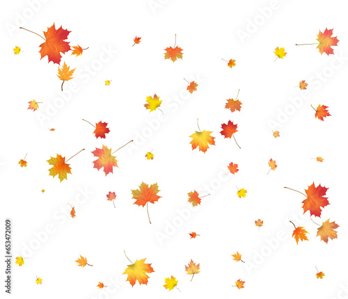 Wallpaper Mural Falling golden autumn maple leaves. Torontodigital.ca