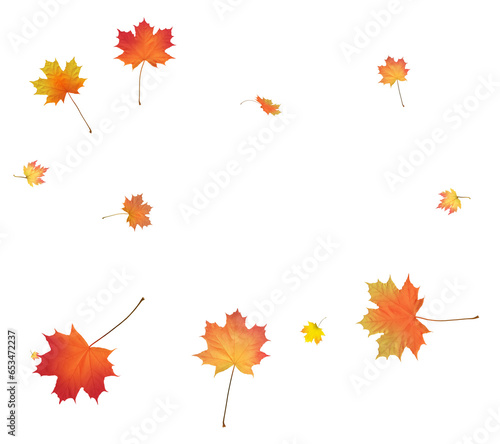 Background with golden autumn leaves