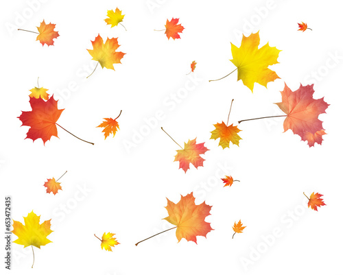 Background with golden autumn leaves