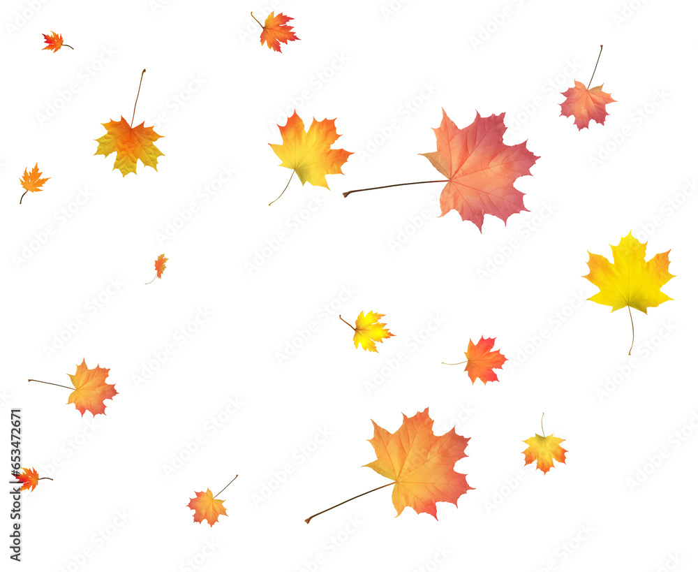 Background with golden autumn leaves Background with golden autumn leaves