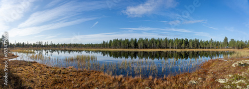 Smal lake in the forest