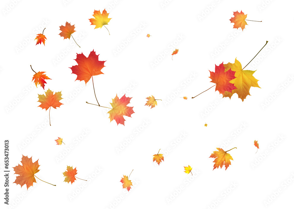Fototapeta premium Pattern with Colorful Autumn leaves.