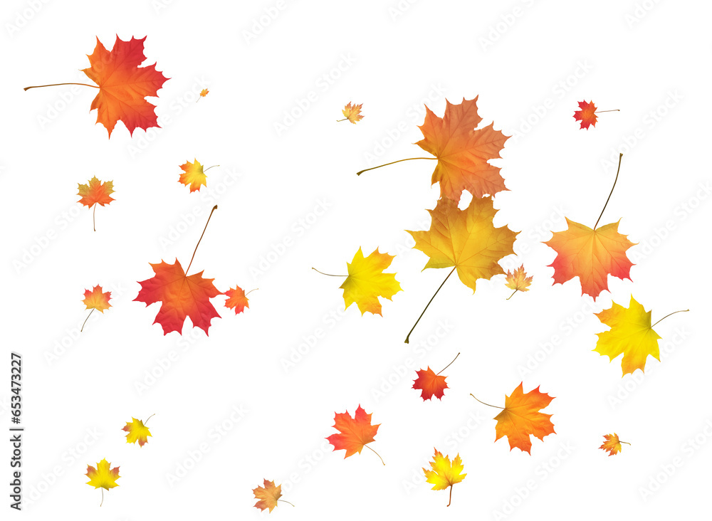 Pattern with Colorful Autumn leaves. Pattern with Colorful Autumn leaves.