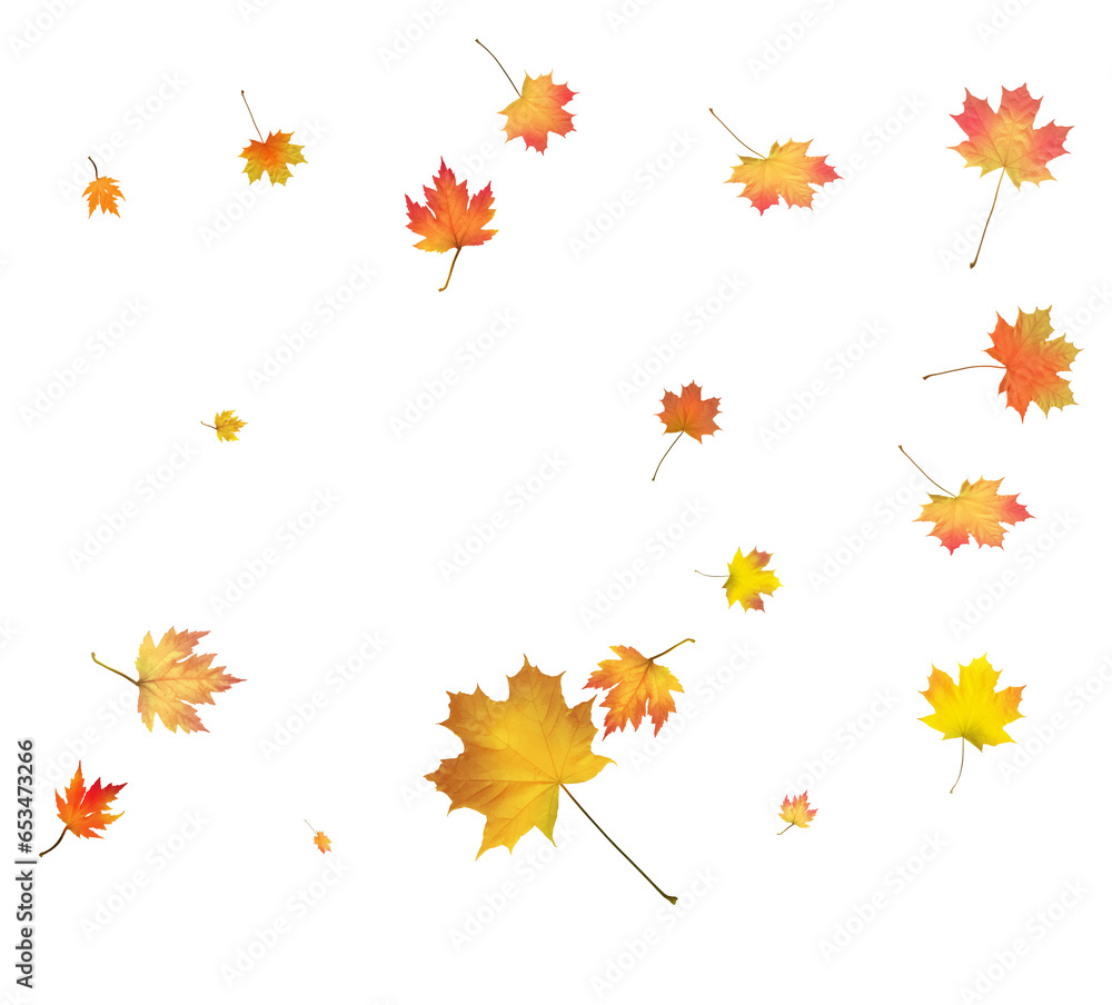 Pattern with Colorful Autumn leaves. Pattern with Colorful Autumn leaves.