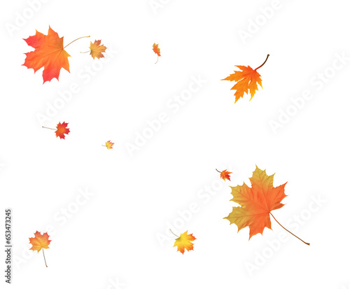 Autumn bright maple leaves background.