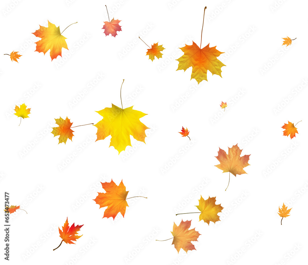Pattern with Colorful Autumn leaves. Pattern with Colorful Autumn leaves.