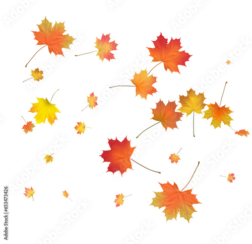 Pattern with Colorful Autumn leaves.