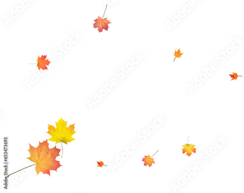 Wallpaper Mural Pattern with Colorful Autumn leaves. Torontodigital.ca