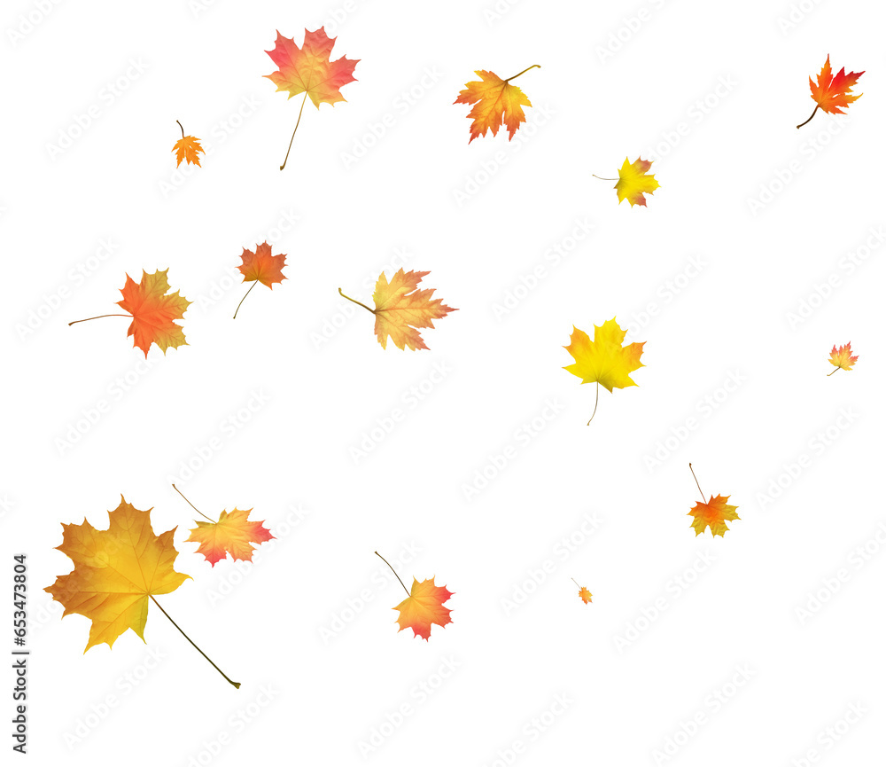 Autumn background made of beautiful maple leaves. Autumn background made of beautiful maple leaves.