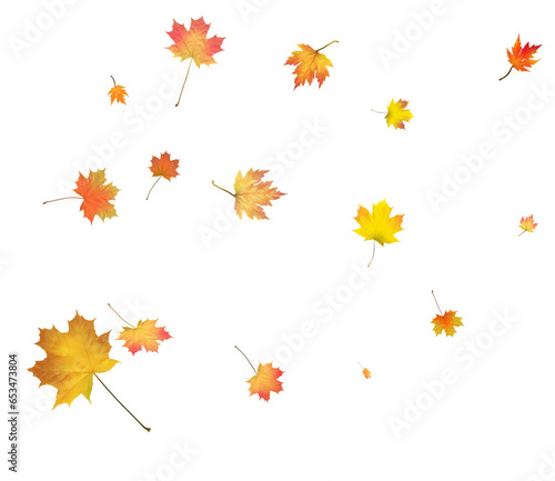 Wallpaper Mural Autumn background made of beautiful maple leaves. Torontodigital.ca