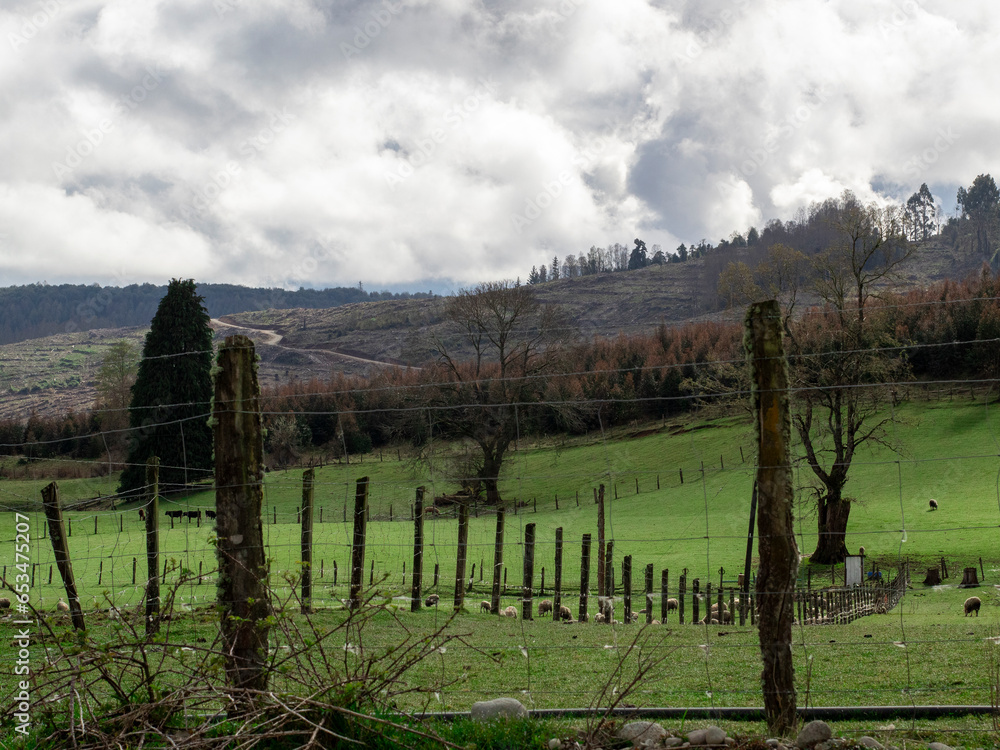 Obraz premium landscape in the mountains