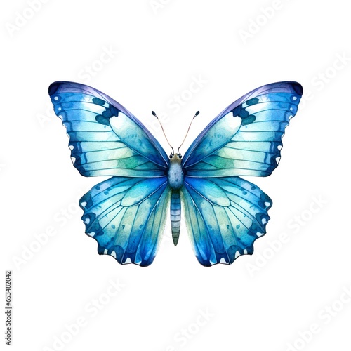 Light blue butterfly isolated on white background in watercolor style. © Hanna