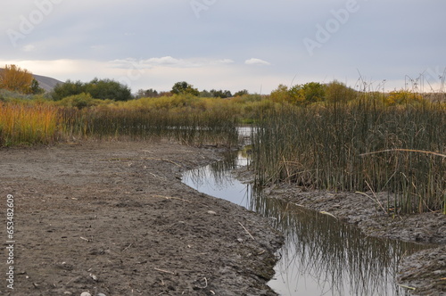 Obraz na płótnie Low Water level Columbia River Bank