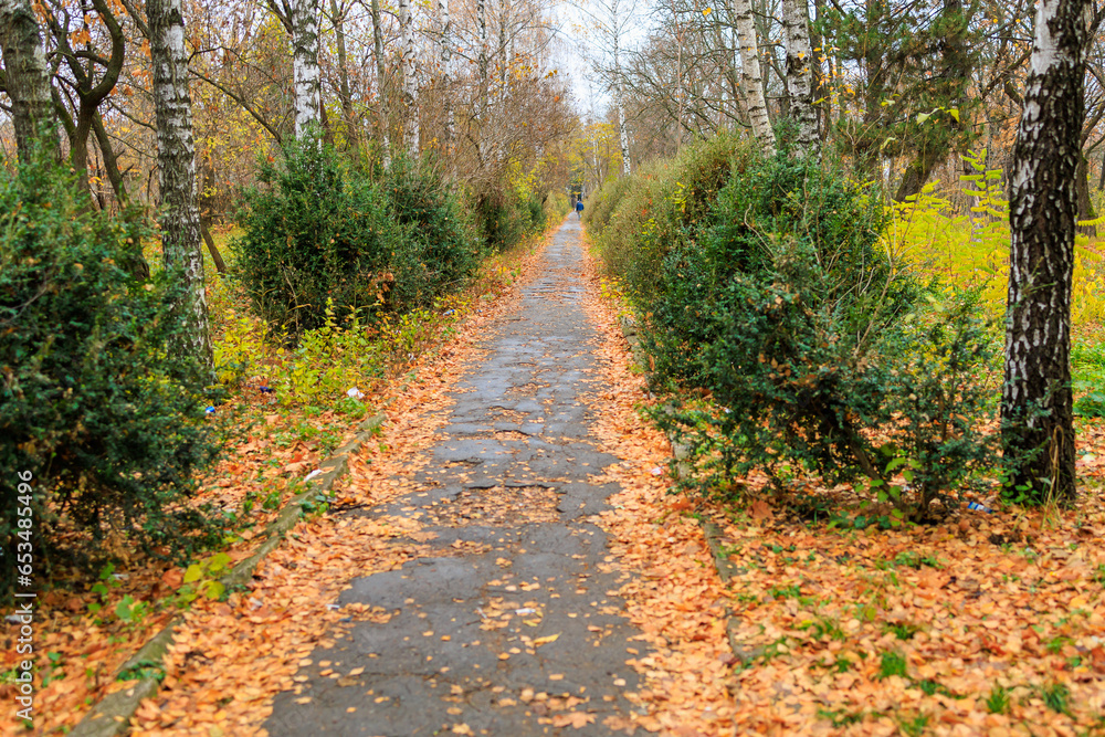 Broken sidewalks. Background with selective focus and copy space Broken sidewalks. Background with selective focus and copy space
