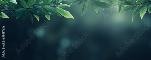 Natural background border with fresh juicy leaves with soft focus outdoors in nature  wide format  copy space  atmospheric image in soothing muted dark green tones  copyspace