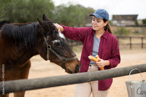 Animal farm owner feeds bread to horse in the backyard of the farm
