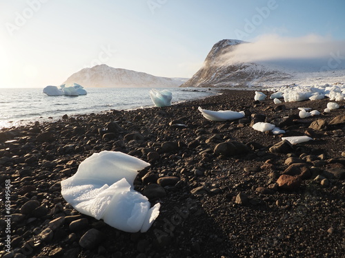 beach in Grise Fiord, Ellesmere Island, Nunavut : Arctic in Canada
