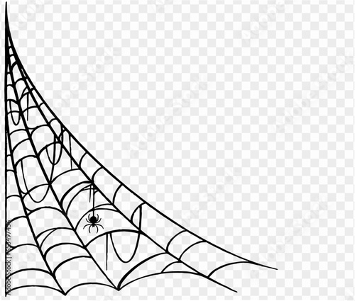 Halloween party background with spiderwebs and spider isolated png or transparent texture, blank space for text, element template for poster, brochures, online advertising, vector illustration 