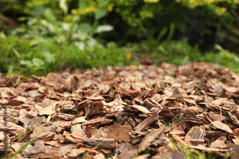 Soil mulched with bark chips in garden, closeup Soil mulched with bark chips in garden, closeup