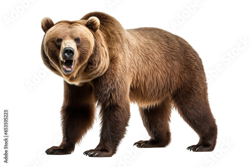 a ferocious grizzly bear with full body on a white background studio shot isolated PNG © JetHuynh