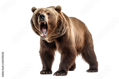 a ferocious grizzly bear with full body on a white background studio shot isolated PNG © JetHuynh